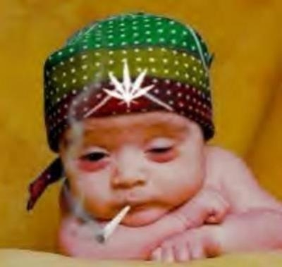 Déf Teeeeeeeeeeuuuuuuuute la gnou wakh