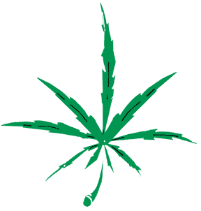 Marijua 4ever